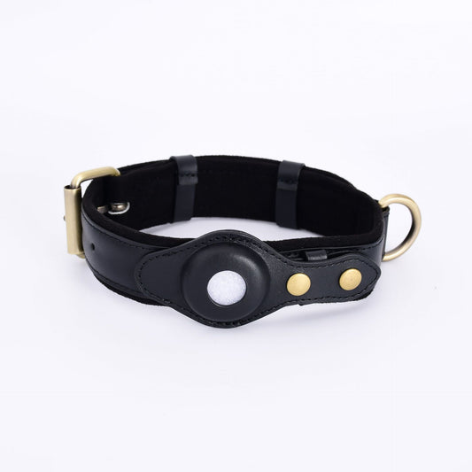 GPS Collar to Protect Your Dog from Getting Lost - My Store