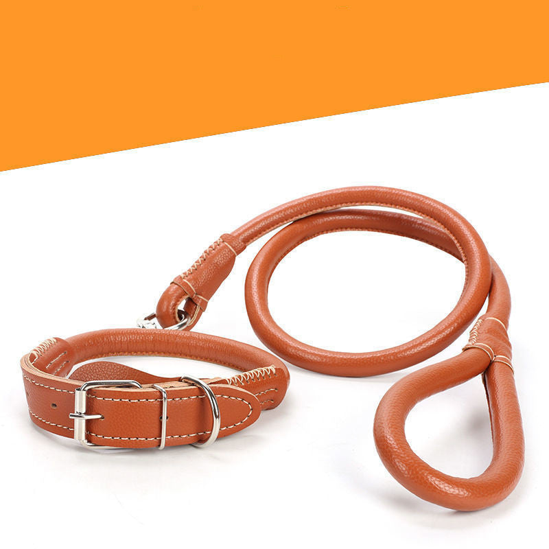 Elegant and Strong Leather Collar for Your Dog - My Store