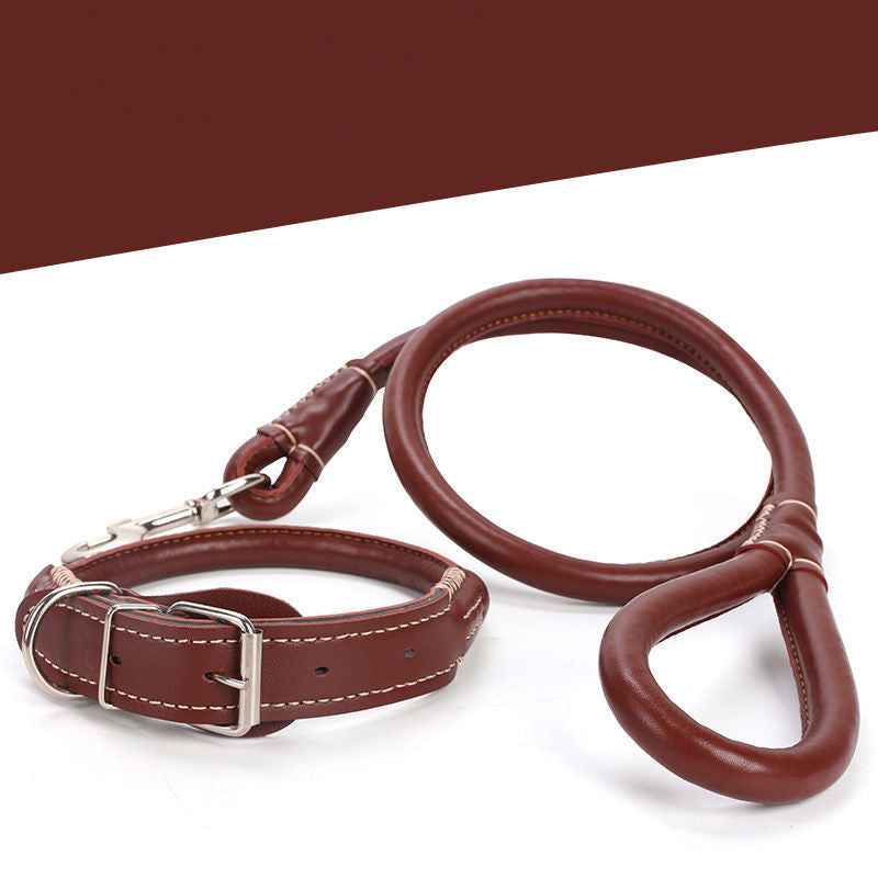 Elegant and Strong Leather Collar for Your Dog - My Store