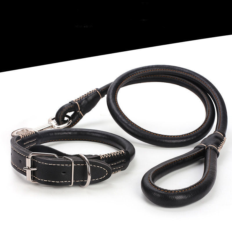 Elegant and Strong Leather Collar for Your Dog - My Store