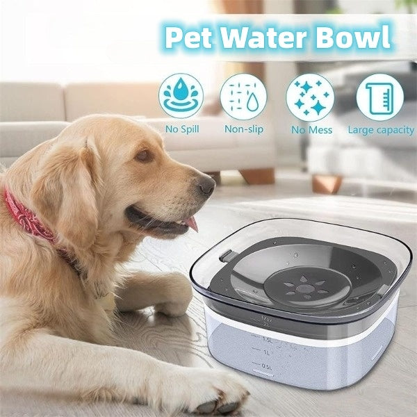 Always clean water with a spill-proof, easy-to-use bowl. - My Store