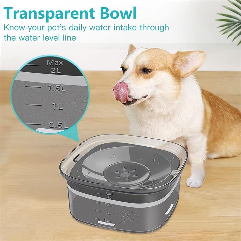 Always clean water with a spill-proof, easy-to-use bowl. - My Store